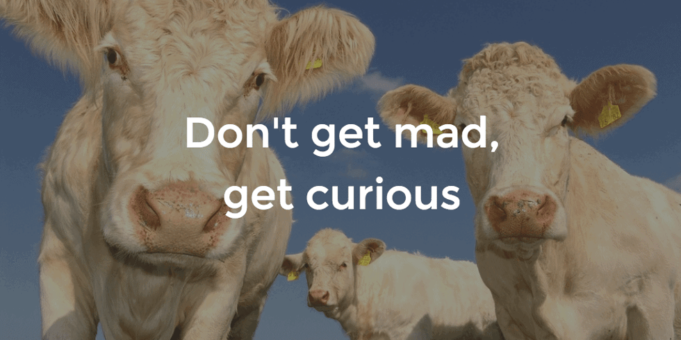 get-curious