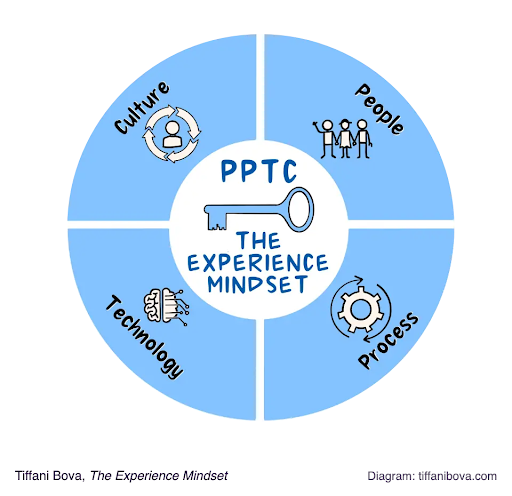 What If You Don't Train Employees and They Stay?