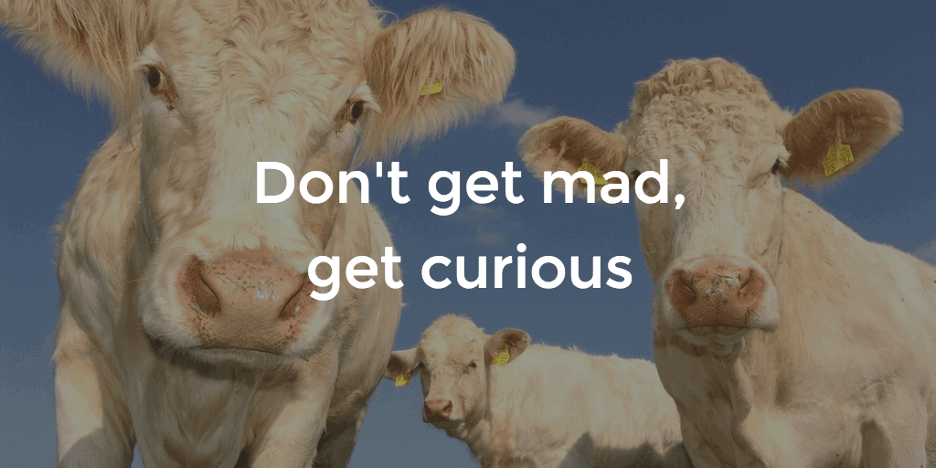 get-curious